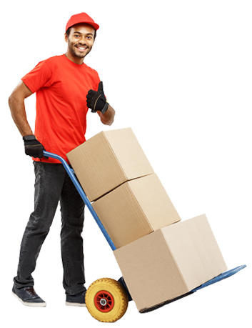 APM India Packers and Movers Bangalore 9844660900 Movers and